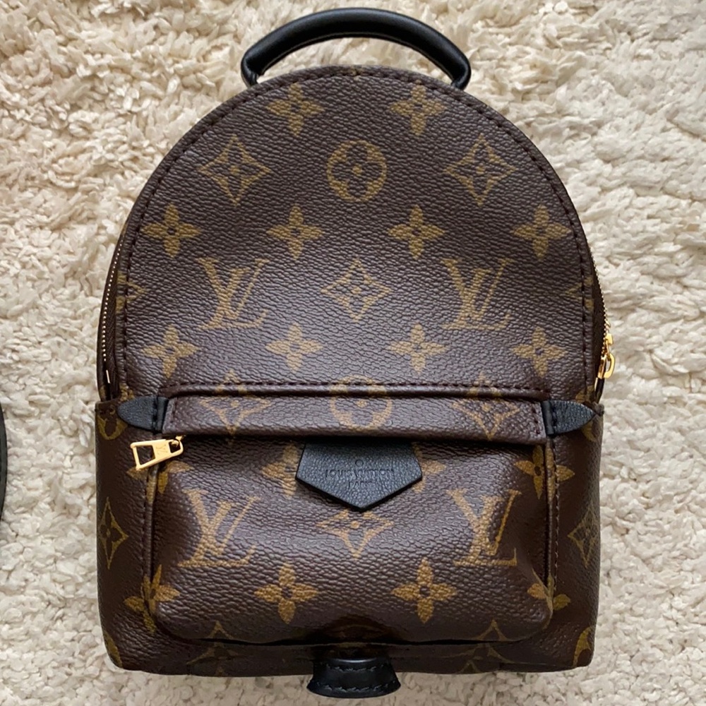 SOLD - Louis Vuitton Palm Springs mini - new version